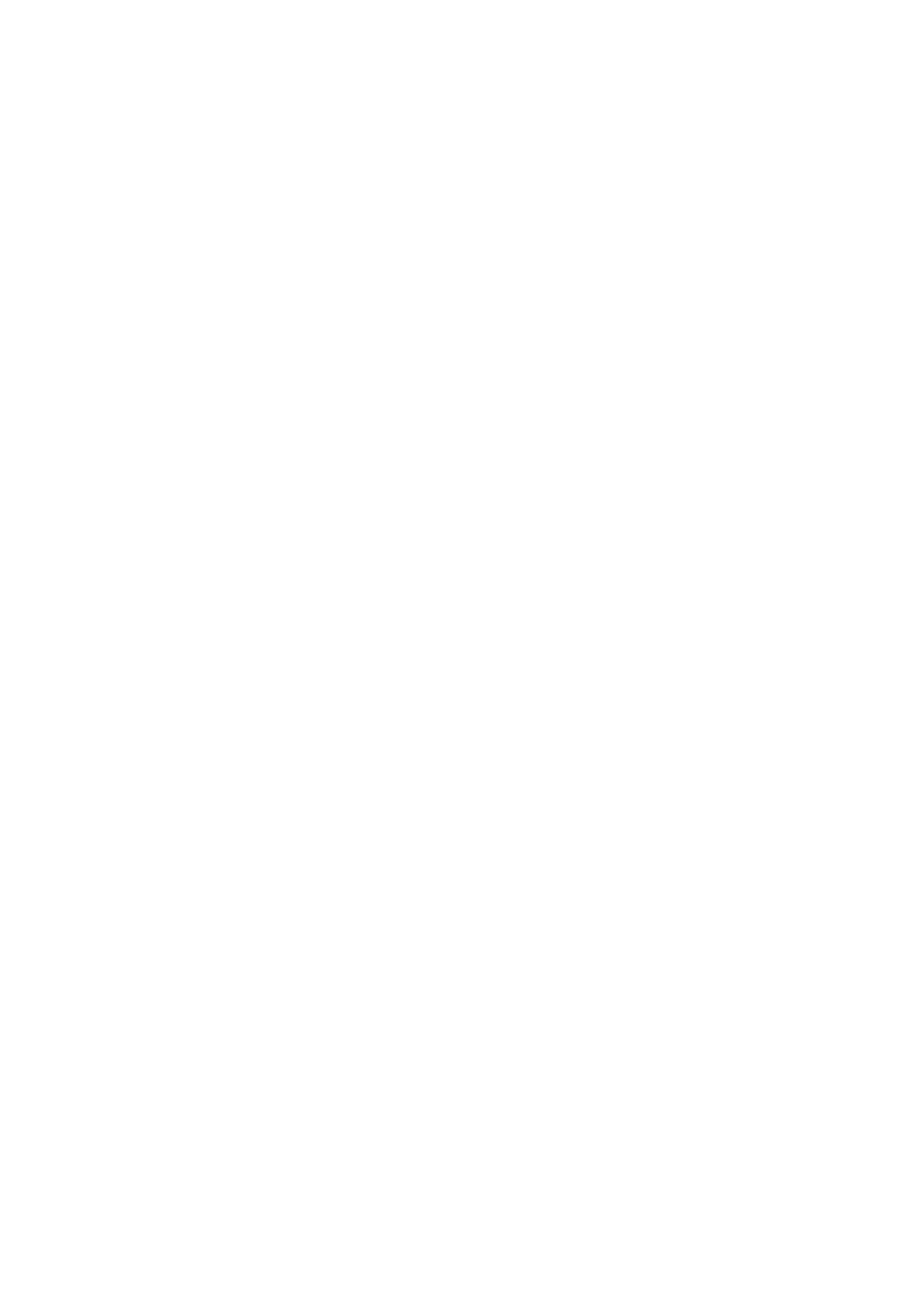 CSS3 Logo