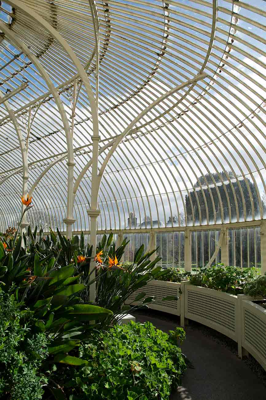 Inside a greenhouse at the National Botanic Gardens in Dublin, Ireland